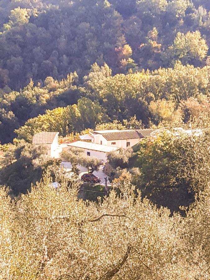 La Dimora Degli Angeli Perugia Exterior foto